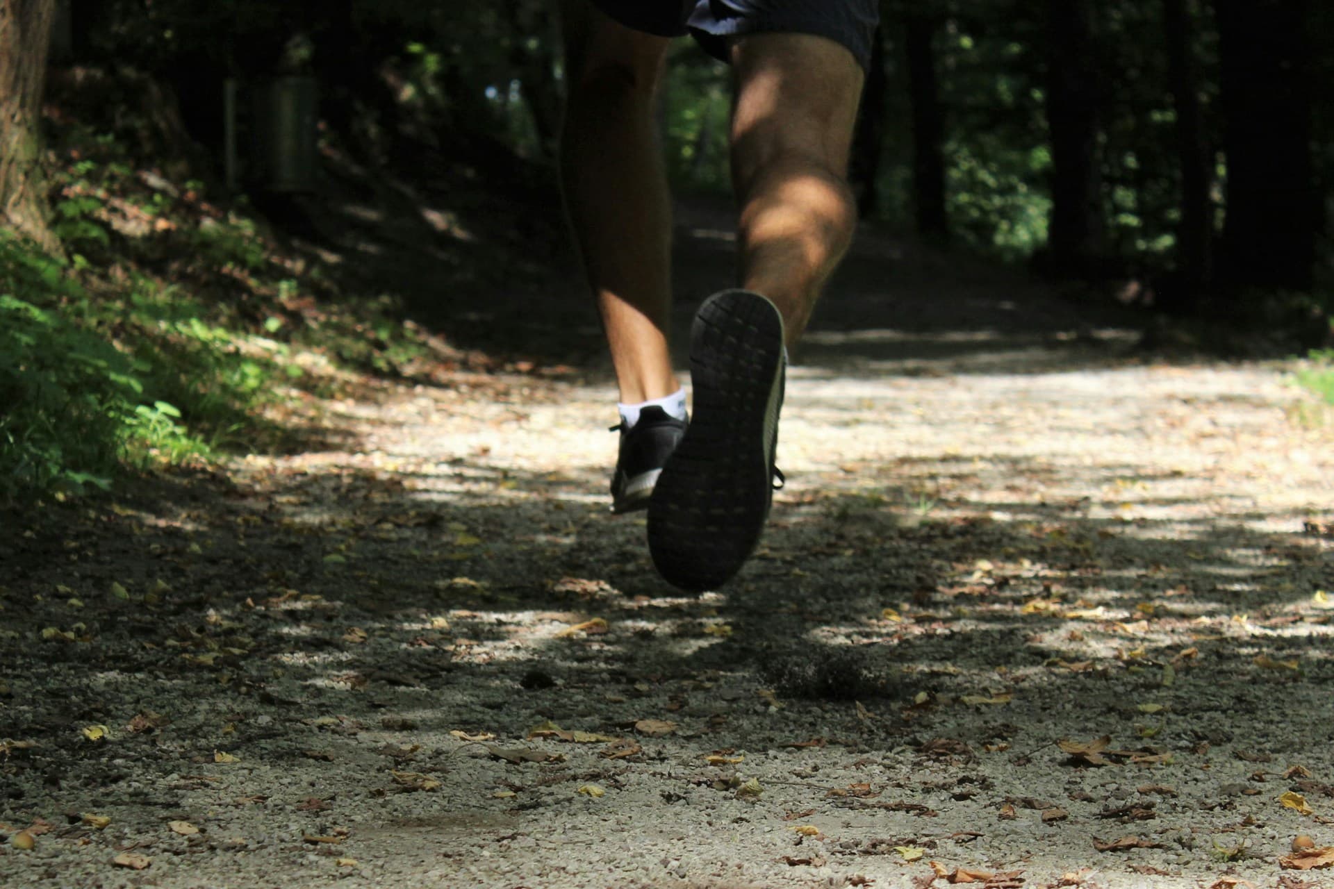 The 15 Best Trail Running Shoes for Hiking