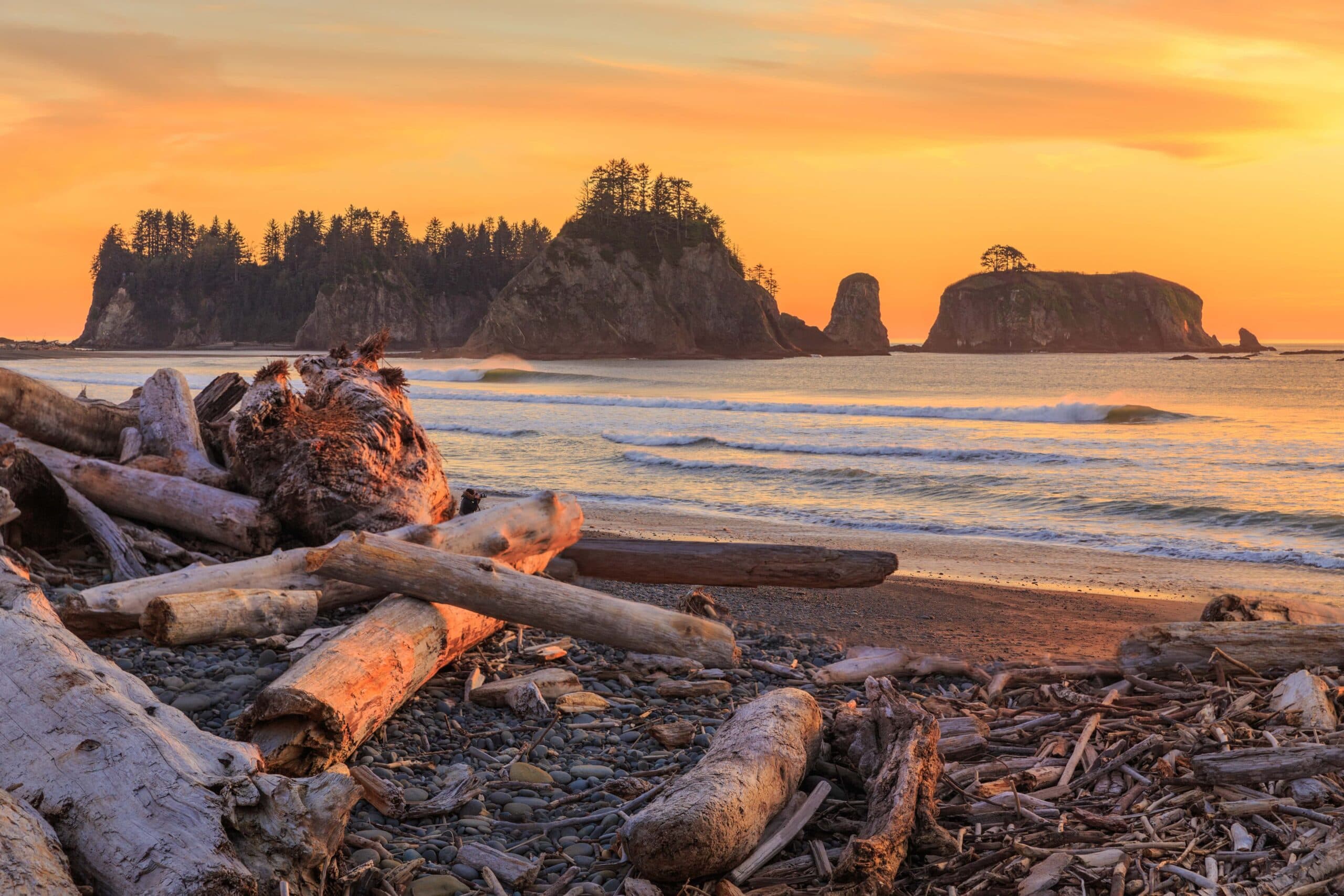 Where to Stay in Olympic National Park