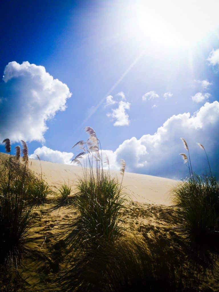 Sand Dunes off Ninety Mile Beach