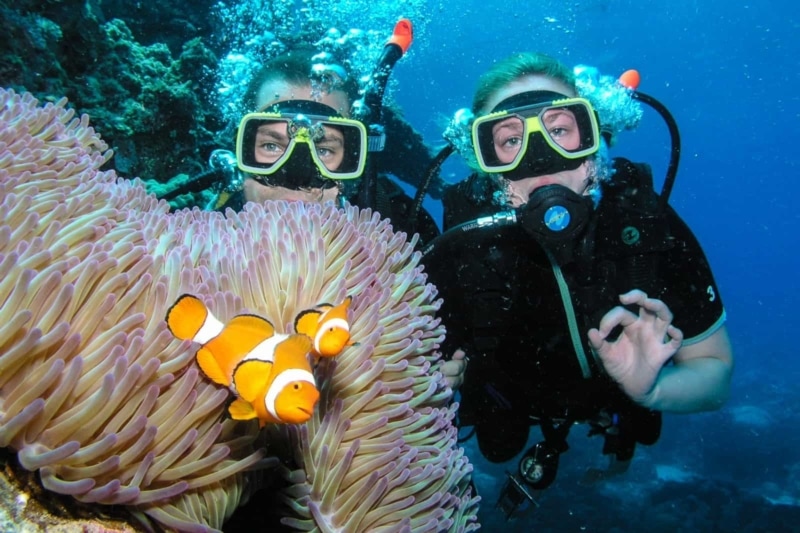 Scuba Diving on the Great Barrier Reef
