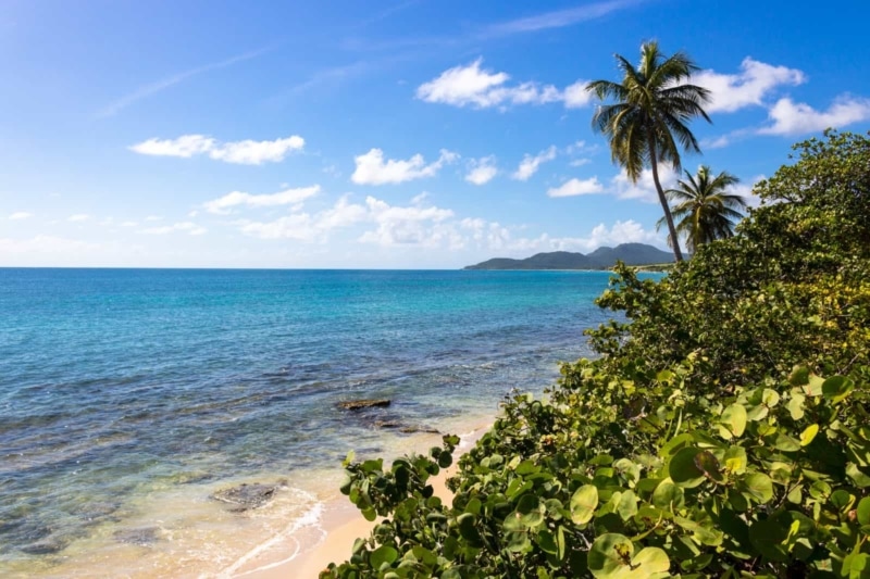 Ocean Views, Vieques