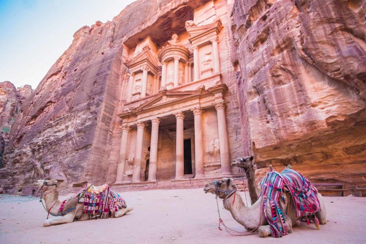 Camels in front of the Treasury at Petra