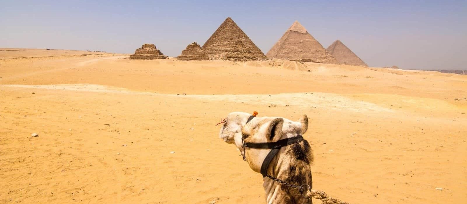 Visiting the Great Pyramids of Giza With a Local