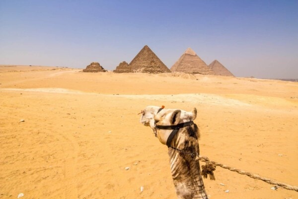 Visiting the Great Pyramids of Giza With a Local