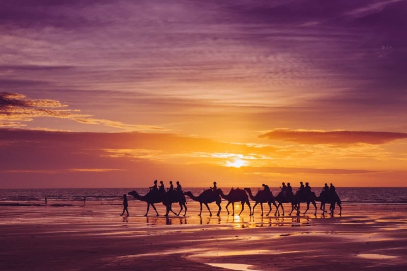 Photo credit: Camels on Cable Beach at Sunset
