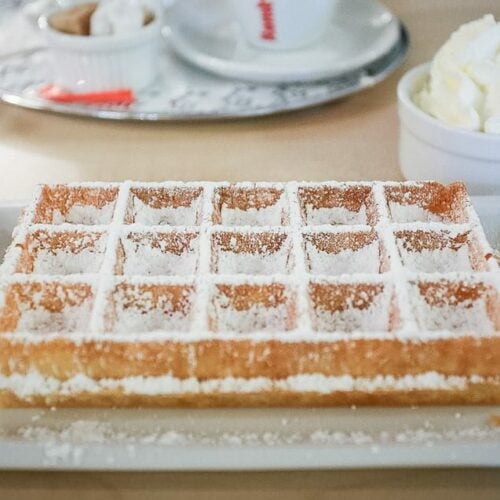 A typical Brussels waffle