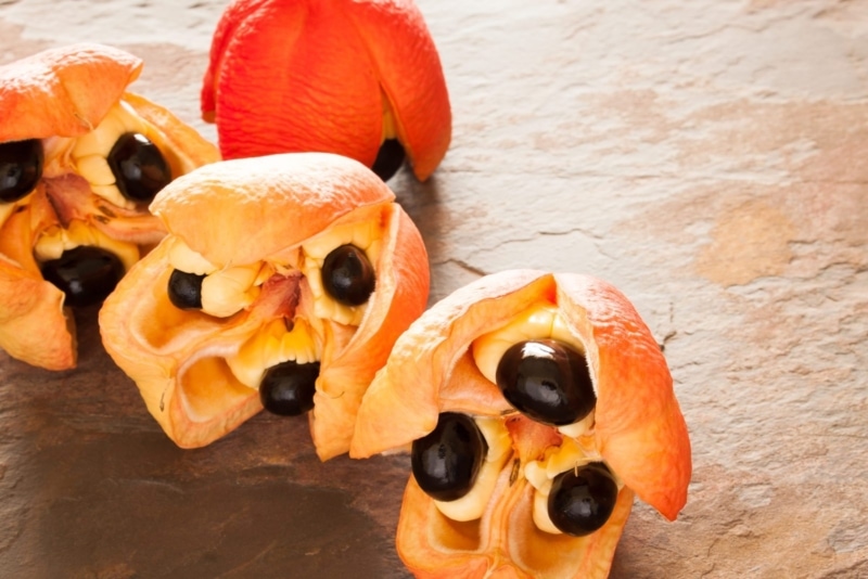The Jamaican Ackee is one weird fruit!