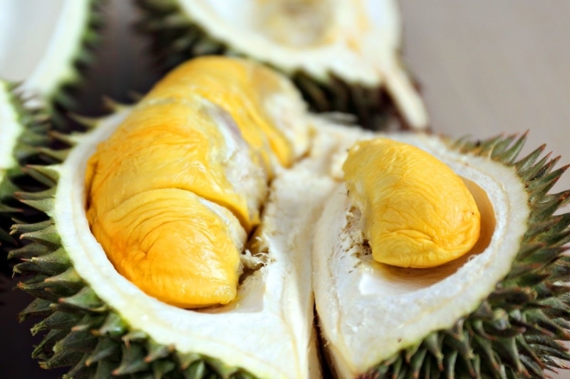The inside of a durian is WEIRD.