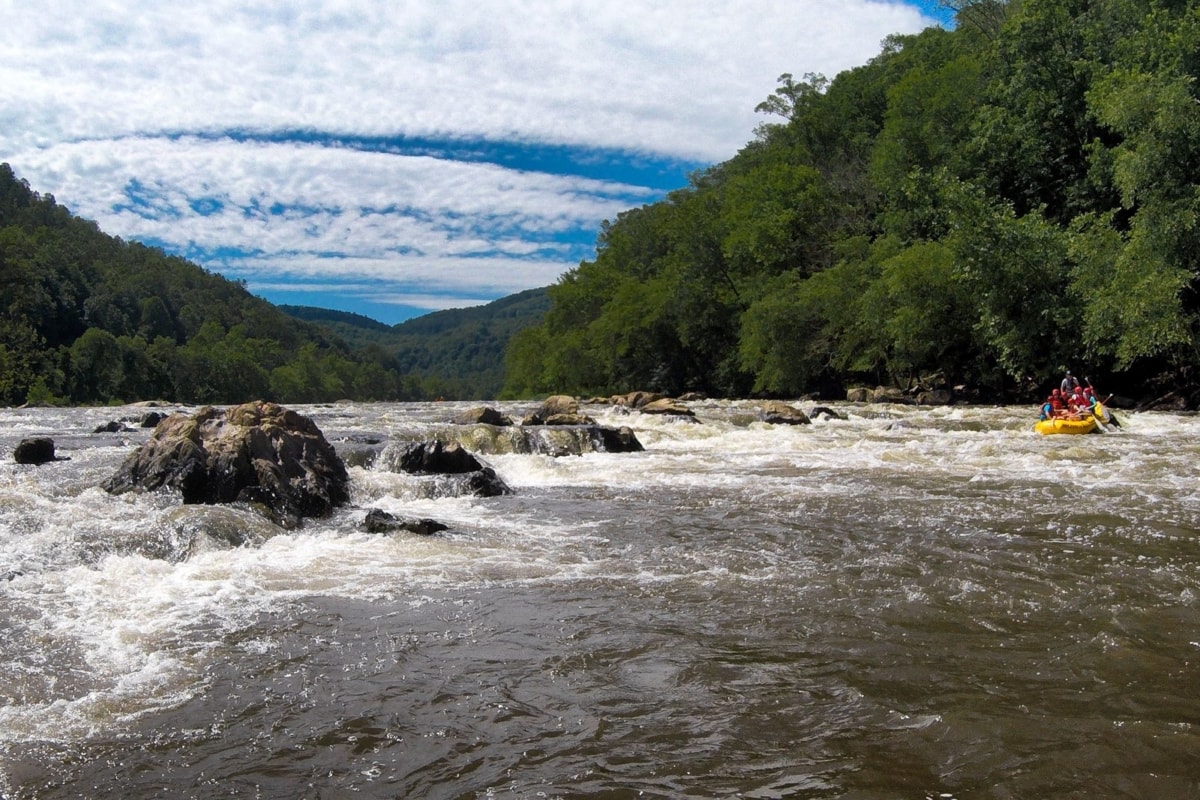 Rapids on the French Broad River