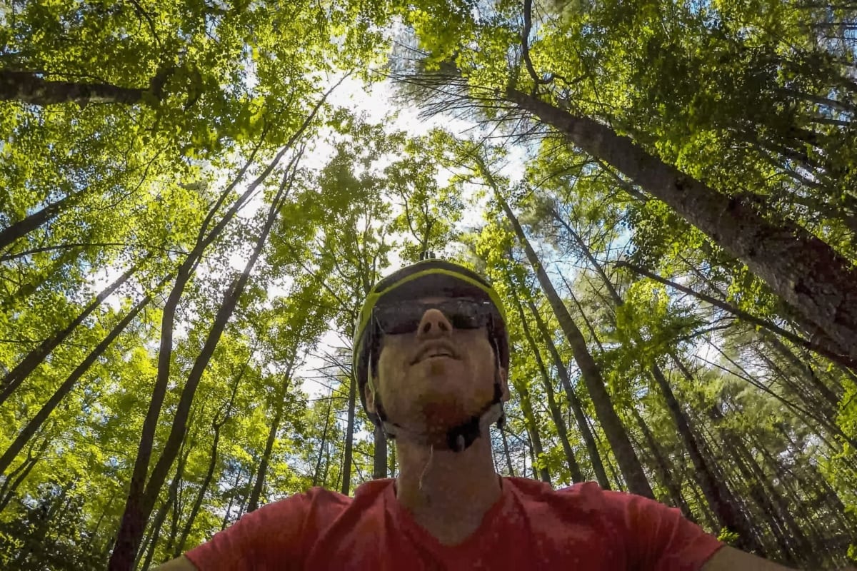 Mountain biking in DuPont National State Forest