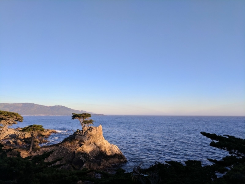 The Lone Cypress along 17 Mile Drive on a Pacific Coast Highway road trip