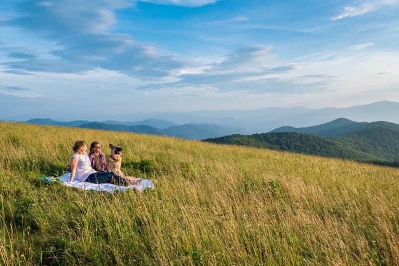A popular hike in Asheville for locals to visit is Max Patch.