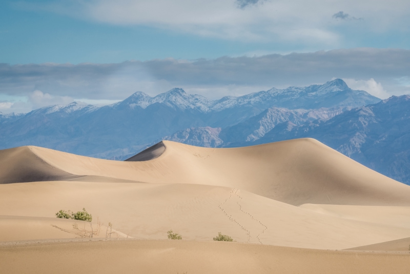 The Mesquite Flat Sand Dunes are a must-visit on any Death Valley road trip!