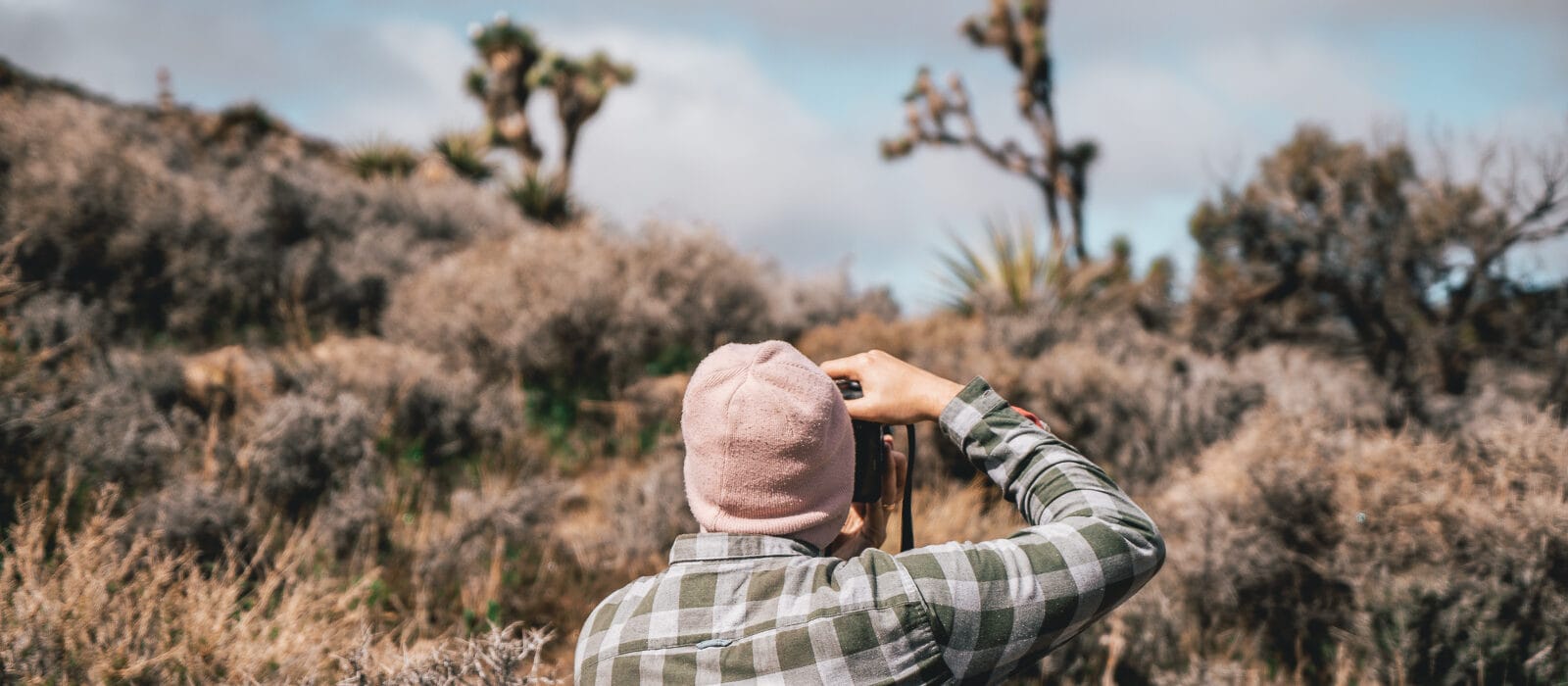 The Ultimate Guide for Your Joshua Tree Road Trip