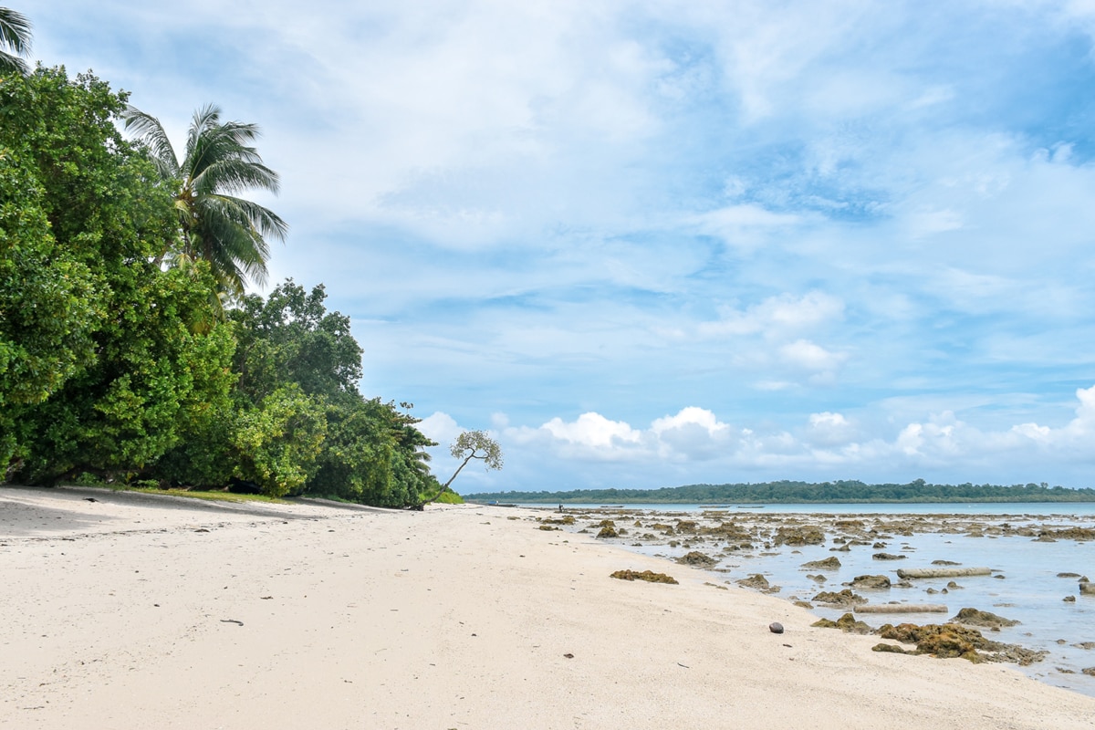 a sandy beachfront in the Andaman Islands, India