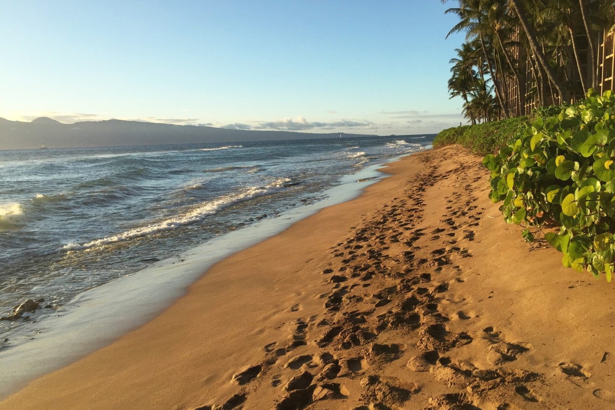 a beach with footprints in Maui, Hawaii