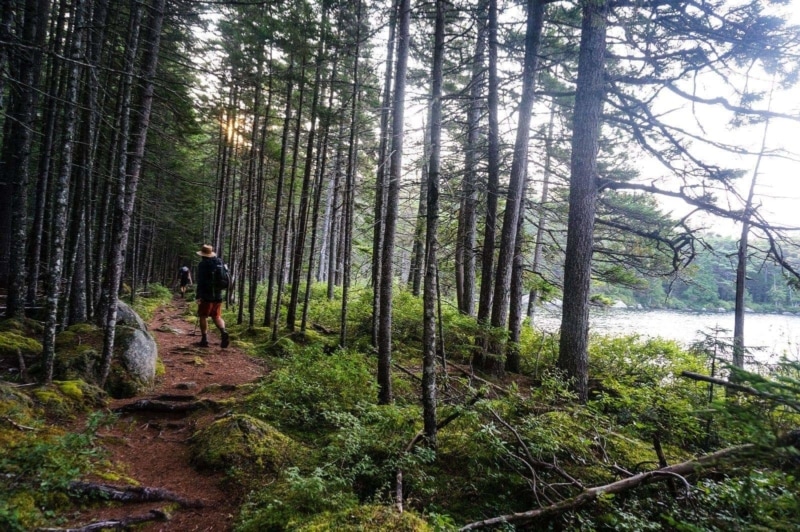 Trail Etiquette 101: The Basic Rules of Hiking