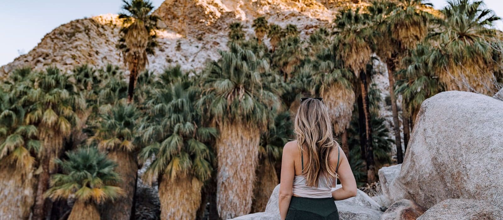 12 Best Joshua Tree Hikes According to a Backpacking Guide