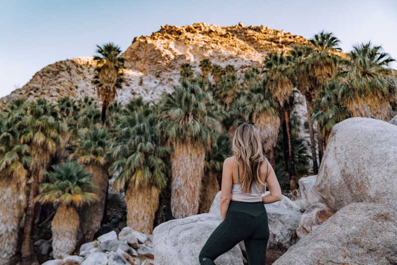 Best Joshua Tree Hikes According to a Backpacking Guide