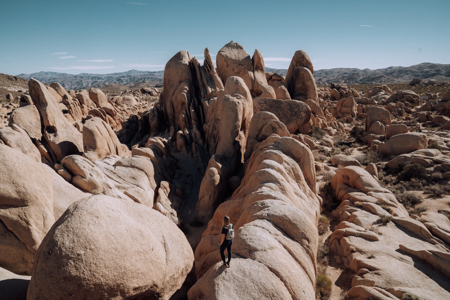 17 Best Things To Do In Joshua Tree National Park In 2022