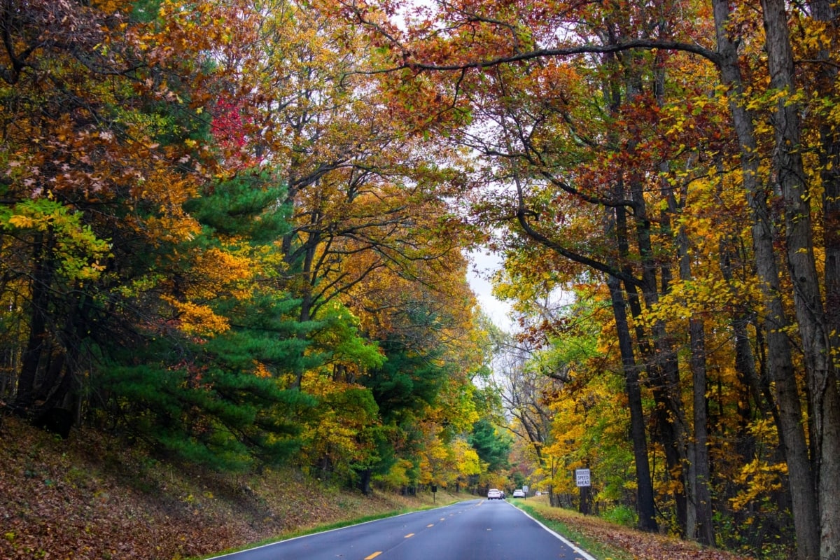 autumn colors in Shenandoah National Park