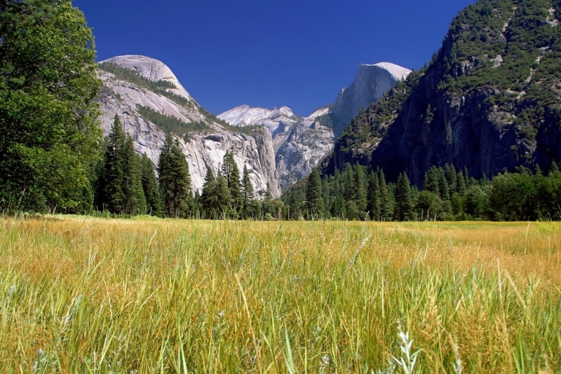Yosemite Valley Loop Trail
