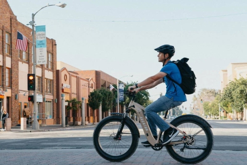 best ebike brands