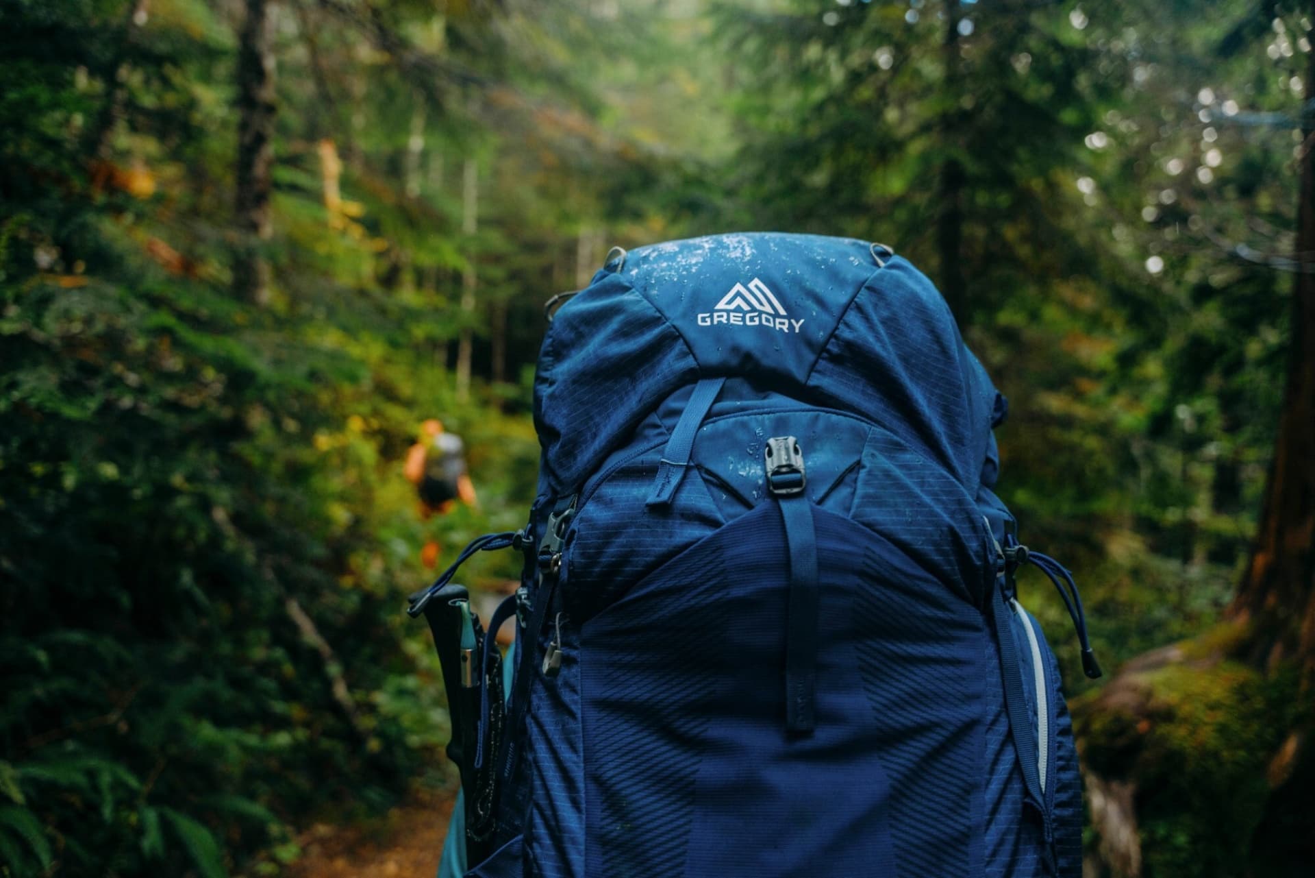 Gregory Katmai 55L Backpack Review
